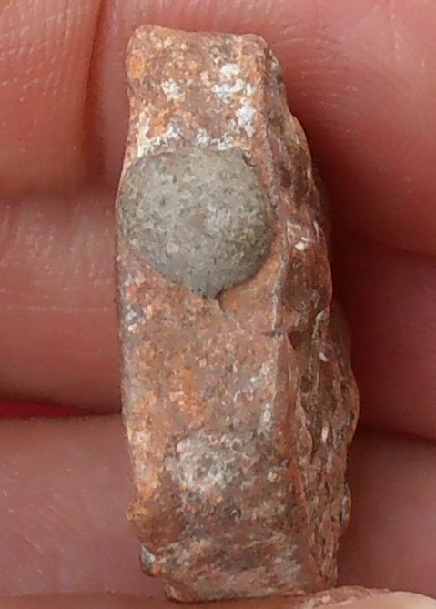 พระหลวงพ่อปาน วัดบางนมโค อยุธยา พิมพ์ขี่ครุฑ