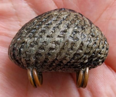 *เบี้ยแก้ ยุคปลาย หลวงปู่เพิ่ม วัดกลางบางแก้ว นครปฐม*