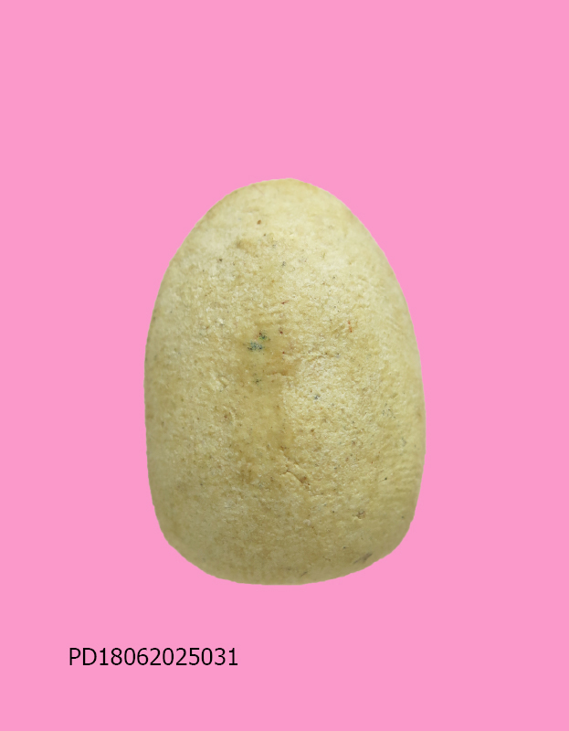 สมเด็จปรกโพธิ์ พิมพ์เล็บมือ เนื้อผง