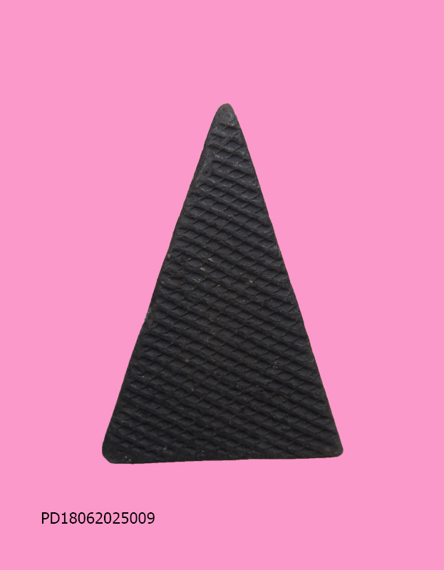 นางพญา หลังตะแกง หลวงพ่อเทียม วัดกษัตราฯ อย