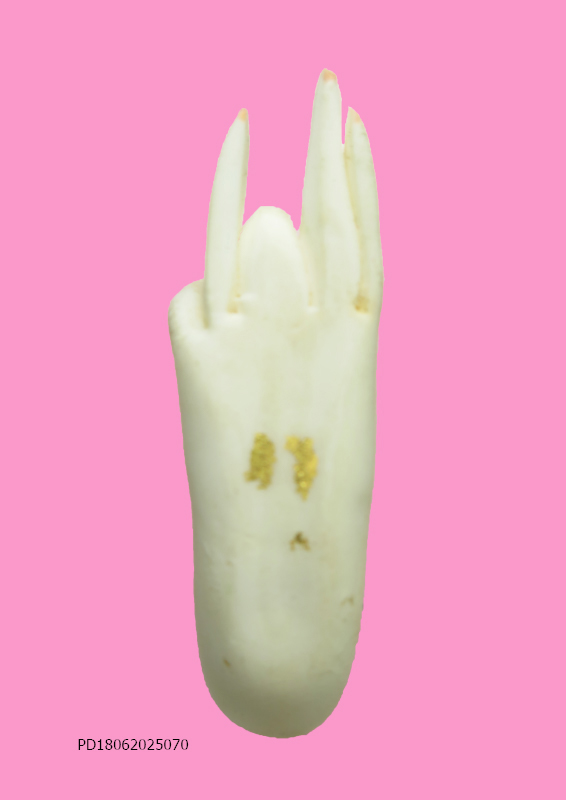 พระหัตถ์ 