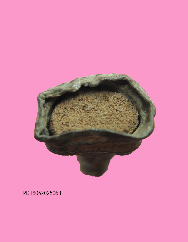 พระแก้บน เนื้อชินสนิมแดง องค์นี้เนื้อในแดง เหมาะสำเร็จผู้เริ่มศึกษาเนื้อชินสนิมแดง