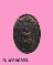 เหรียญ นาคปรก ใบมะขาม รุ่น ๑ “ หลวงปู่ปรง สาสโน ” วัดธรรมเจดีย์ (ศิษย์ร่วมสำนัก กับ หลวงพ่อกวย )