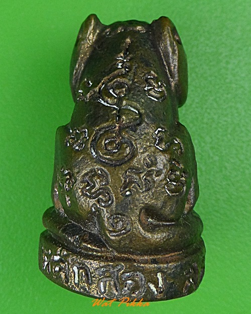 เสือหลวงพ่อชม วัดหลักสอง สมุทรสาคร .4000.