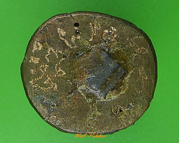 เสือหลวงพ่อชม วัดหลักสอง สมุทรสาคร .4000.