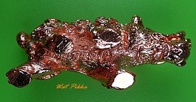 หมูทองแดงคาบแก้วหลวงพ่อพิเชฐ วัดโคกหม้อ ลพบุรี  .4001.