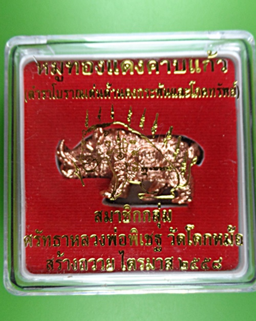 หมูทองแดงคาบแก้วหลวงพ่อพิเชฐ วัดโคกหม้อ ลพบุรี  .4001.