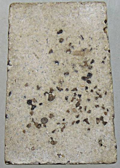 ๒๐ พระสมเด็จหลังข้าวสารหิน หลวงปู่บุดดา อธิฐานจิต