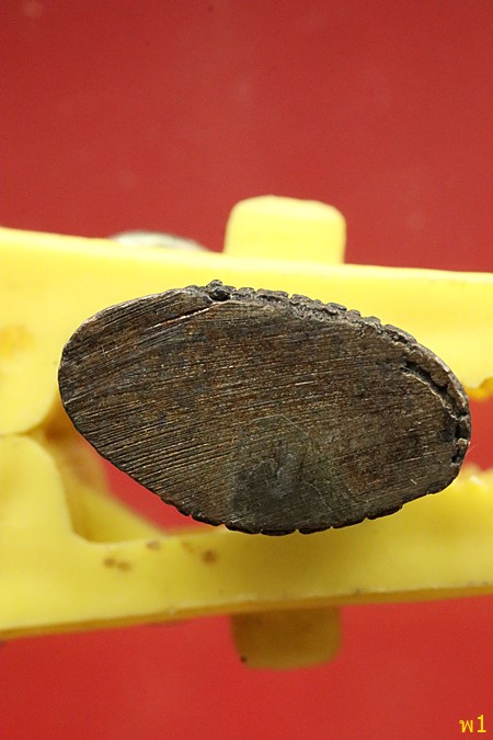 รูปหล่อหลวงพ่อเศียร วัดอโศการาม รุ่นเมตตา