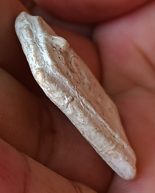 1.พระผงกรุวัดคู้สลอด หลวงพ่อปาน วัดบางนมโค จ.อยุธยา ปลุกเสก พิมพ์ขี่หนุมานทรงเครื่องใหญ่ ลงกรุ