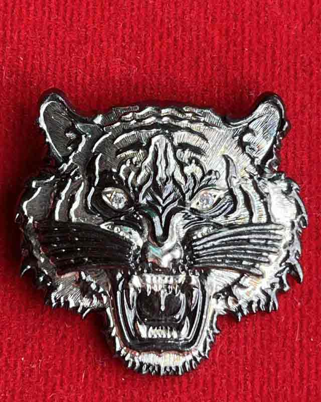 หลวงพ่อพัฒน์ ปุญฺญกาโม วัดห้วยด้วน จ.นครสวรรค์ เหรียญหัวเสือ รุ่น พยัคฆ์ 5 แผ่นดิน 2