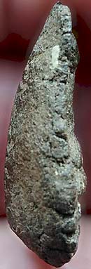 *พระปิดตาสูญญัง เนื้อผงว่าน หลวงพ่อหรุ่น วัดช้างเผือก สมุทรสงคราม*