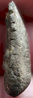 *พระปิดตาสูญญัง เนื้อผงว่าน หลวงพ่อหรุ่น วัดช้างเผือก สมุทรสงคราม*