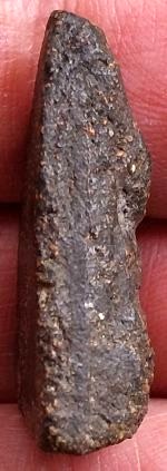 *นางพญา เนื้อผงว่าน*