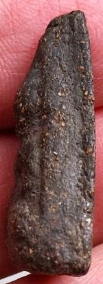 *นางพญา เนื้อผงว่าน*