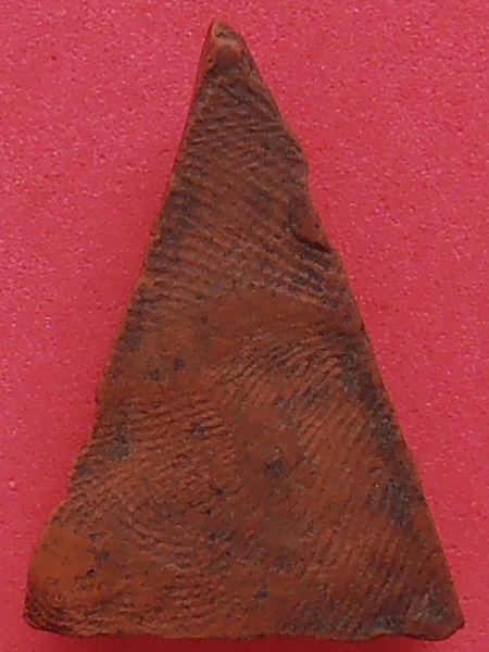 พระนางพญาหลวงพ่อแฉ่ง วัดบางพัง นนทบุรี ปี๒๔๙๗