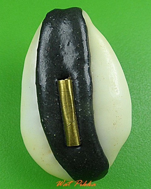 เบี้ยมหาโภคทรัพย์ ฝังตะกรุดหัวใจเศรษฐี หลวงปู่สิงห์ วัดบ้านขี้เหล็ก ศรีสะเกษ .4227.