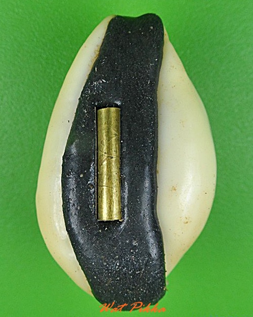 เบี้ยมหาโภคทรัพย์ ฝังตะกรุดหัวใจเศรษฐี หลวงปู่สิงห์ วัดบ้านขี้เหล็ก ศรีสะเกษ .4228.