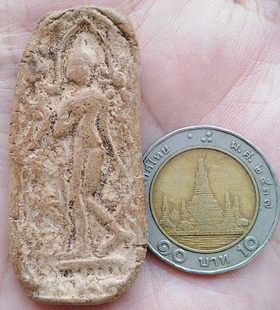 *ลีลาข้างดอกไม้ เนื้อดิน*