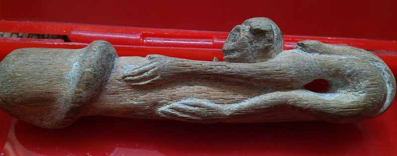 *ลิงอุ้มปลัด*