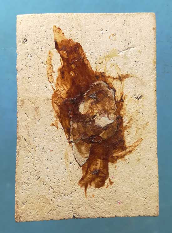 สมเด็จ ไม่ทราบที่