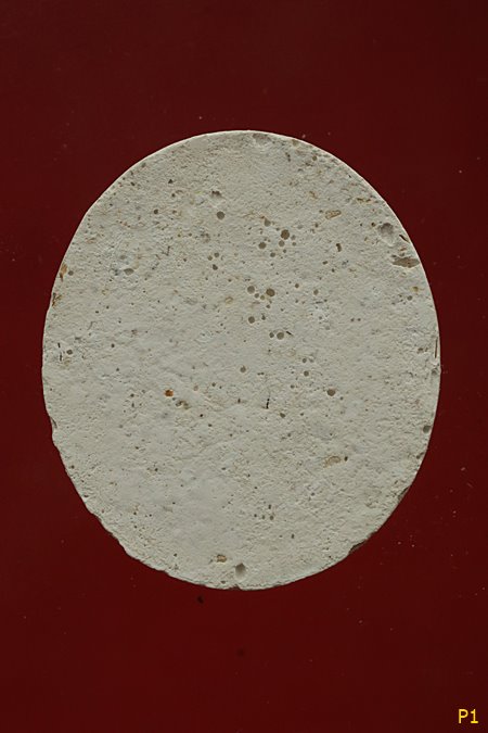 พระผงรูปเหมือนหลวงตามหาบัว