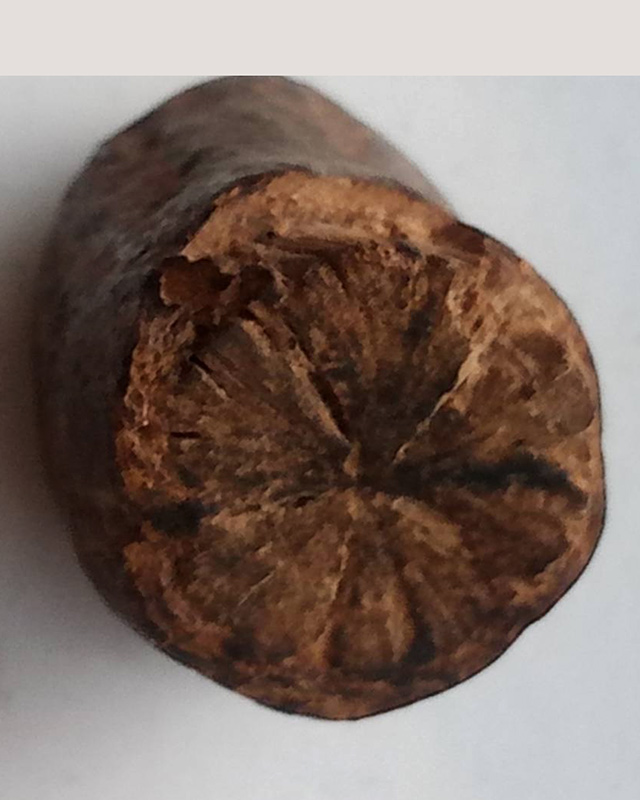 ตะกรุดไม้เก่ามากๆ ขนาด 1.5 x 2 ซ.ม. เชือกถักหลุดลุ่ยไปแล้ว