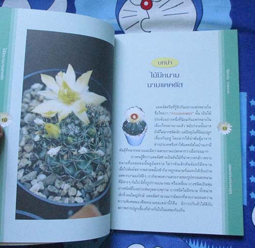 หนังสือไม้มีหนามนามแคดตัส