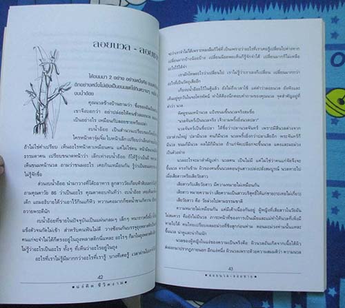 หนังสือ แง่คิดชีวิตงาม