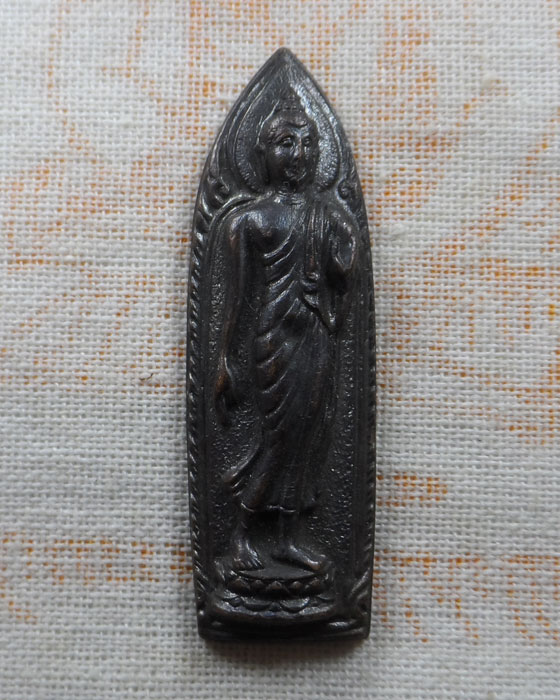 เหรียญพระพุทธนวฤทธิ์ จิตตภาวัน