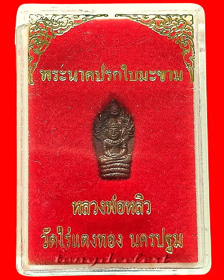 พระนาคปรกใบมะขาม หลวงปู่หลิว วัดไร่แตงทอง รุ่นแรก ปี 2535 หายาก สวยมากค่ะ