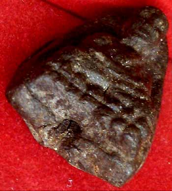 *หลวงปู่ทวด สร้างหอระฆัง ปี๒๕๓๔ ว่านคลุกรัก พิมพ์ใหญ่ อาจารย์นอง วัดทรายขาว ปัตตานี*