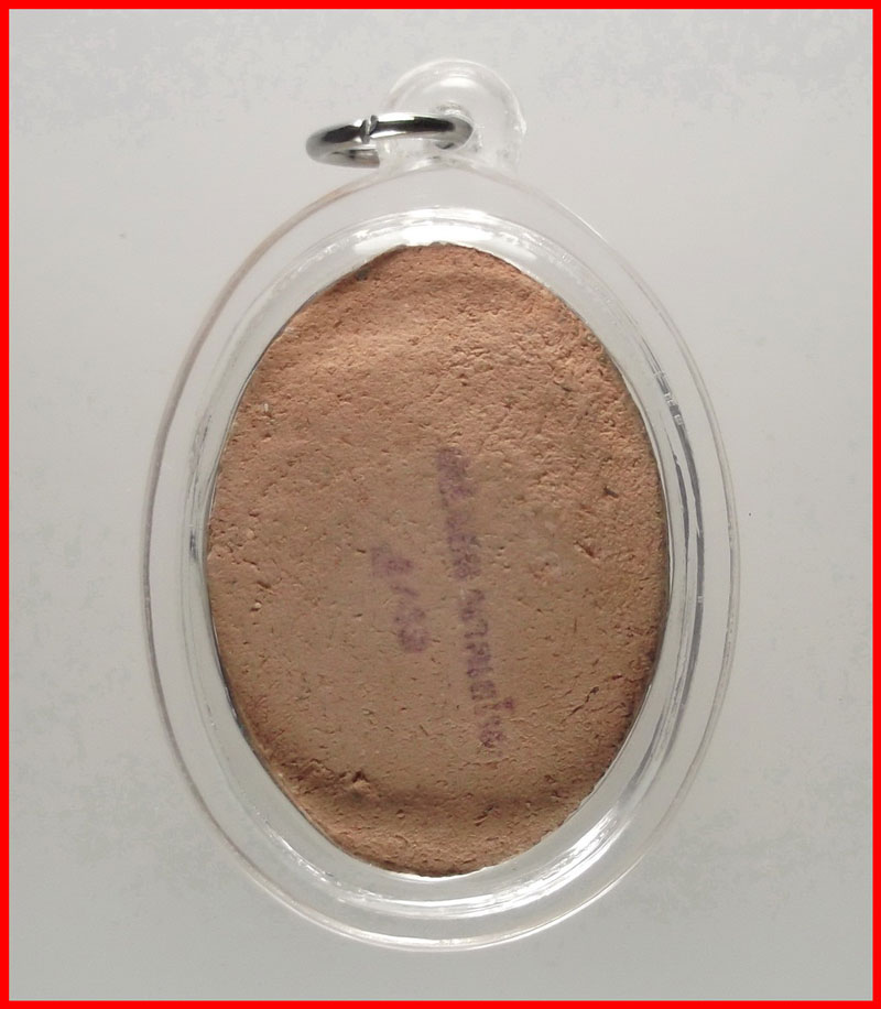 พญาเต่าเรือนหลวงปู่จอม นาคเสโน วัดบ้านดอนดู่ อ.เมือง อำนาจเจริญ เนื้อผงว่านฝังพระธาตุ ปี 2549