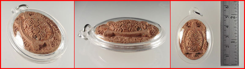 พญาเต่าเรือนหลวงปู่จอม นาคเสโน วัดบ้านดอนดู่ อ.เมือง อำนาจเจริญ เนื้อผงว่านฝังพระธาตุ ปี 2549