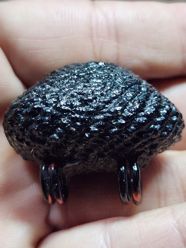 วัดกลางบางแก้ว อ.นครชัยศรี จ.นครปฐม เบี้ยแก้ หลวงปู่เจือ  พร้อมใบเสร็จจากวัด