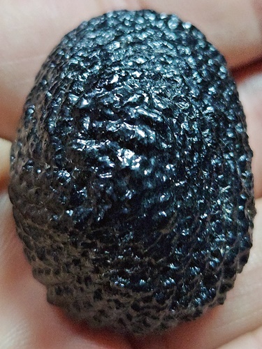 วัดกลางบางแก้ว อ.นครชัยศรี จ.นครปฐม เบี้ยแก้ หลวงปู่เจือ  พร้อมใบเสร็จจากวัด