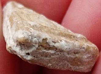 *นางพญาชีโบ เนื้อผง วัดบางด้วน สมุทรปราการ ปี๒๔๙๓ หลวงปู่เผือก วัดกิ่งแก้ว ปลุกเสก*