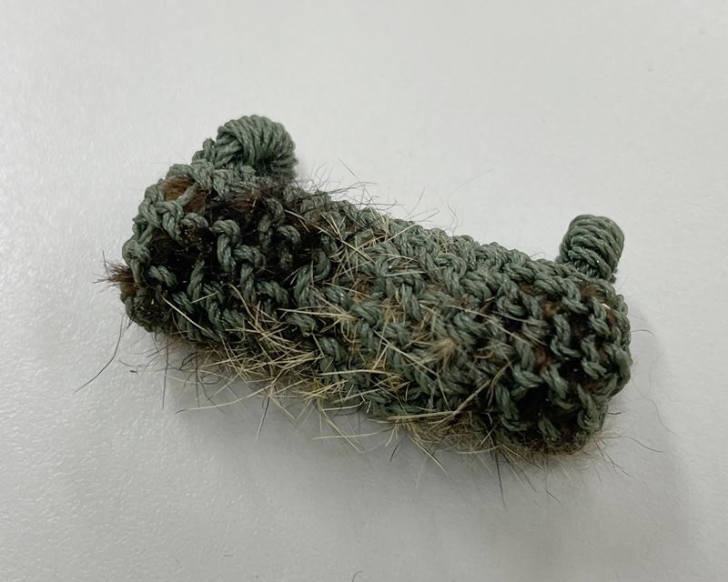 ตะกรุดหนังเสือ ถักเชือกเขียว (เมตตา-มหาอำนาจ-คุ้มภัย) หลวงพ่อเปิ่น วัดบางพระ จ.นครปฐม