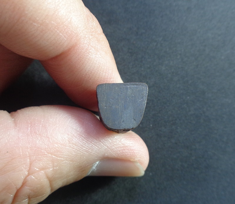 รูปหล่อหลวงพ่อเพี้ยน วัดเกริ่นกฐิน จ.ลพบุรี งานทอดกฐินปี58 สวยครับ