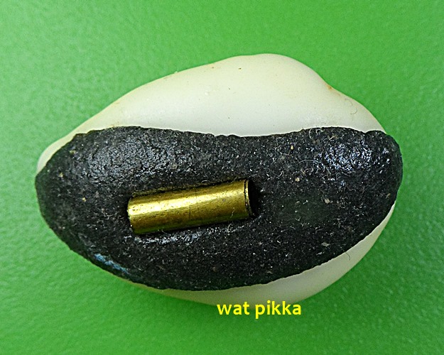 เบี้ยมหาโภคทรัพย์ ฝังตะกรุดหัวใจเศรษฐี หลวงปู่สิงห์ วัดบ้านขี้เหล็ก ศรีสะเกษ .4227.*