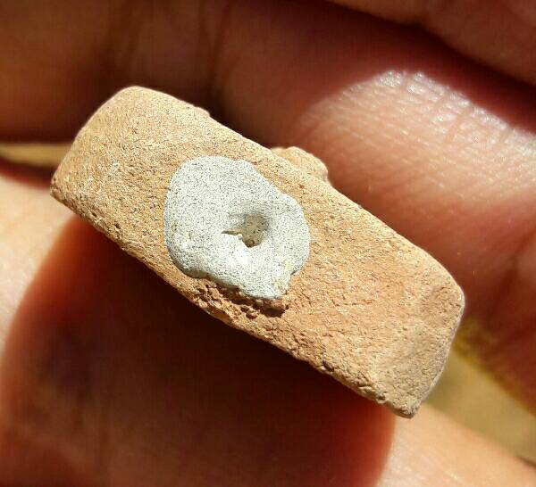 พระไม่ทราบที่ เคาะเดียว   