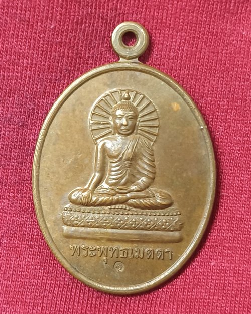 เหรียญพระพุทธเมตตา ตอกโค๊ต วัดป่าพระธาตุหลวง ต.แม่เย็น อ.พาน จ.เชียงราย ปี2558