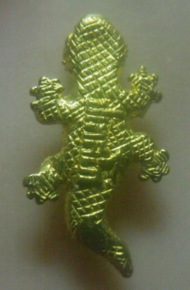 **เบาๆ**ตุ๊กแกมหาลาภ หลวงปู่ญาณ ปเทสโก วัดป่าทรงธรรม จ.ร้อยเอ็ด**กะไหล่ทอง สวยๆ