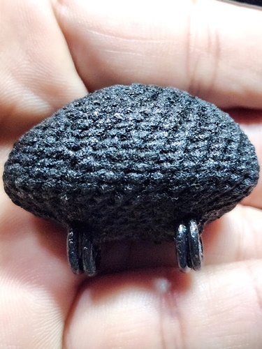 วัดกลางบางแก้ว นครปฐม เบี้ยแก้ หลวงปู่เจือ  2ห่วง ปี48 อุดปรอทปิดชันโรง ลงรักดำ พร้อมใบคาถา