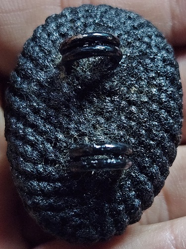 วัดกลางบางแก้ว นครปฐม เบี้ยแก้ หลวงปู่เจือ  2ห่วง ปี48 อุดปรอทปิดชันโรง ลงรักดำ พร้อมใบคาถา