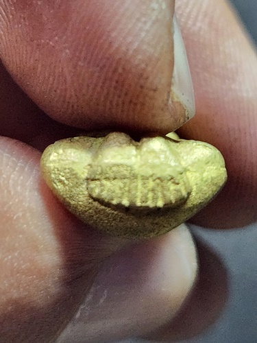 วัดห้วยจระเข้ จ.นครปฐม พระปิดตา หลวงปู่นาค  รุ่นฉลอง 100 ปี 2540 เนื้อทองผสม 