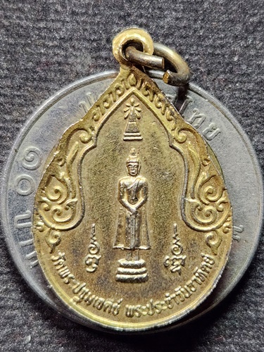 วัดพระปฐมเจดีย์ จ.นครปฐม เหรียญพระร่วงโรจน์ฤทธิ์  หลังพระประจำวัน