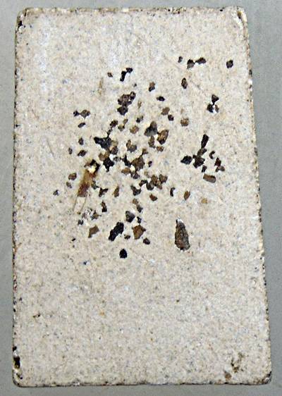 ๒๐ พระสมเด็จหลังข้าวสารหิน หลวงปู่บุดดา อธิฐานจิต