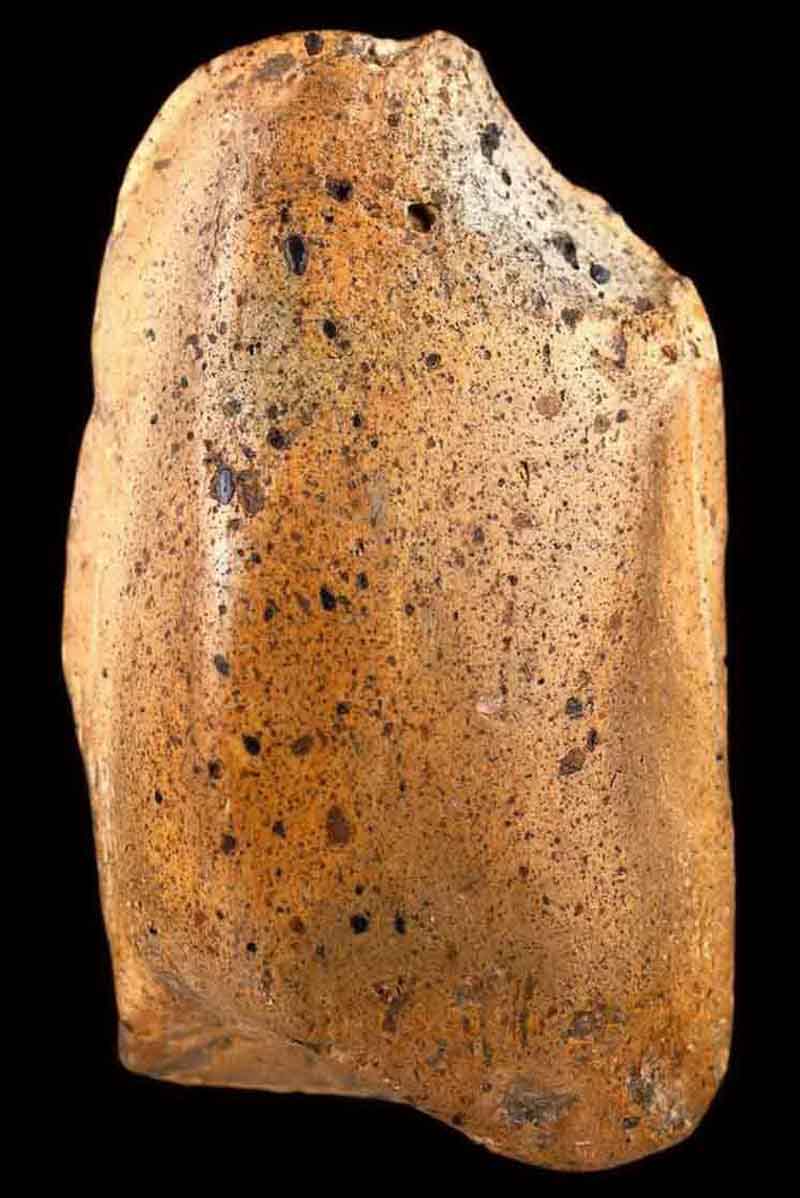 เขียวแพงแดงหายากพระคงกรุเก่า บิ่นตามภาพ ไม่มีหักอุดซ่อม รับประกันพระแท้ตลอดชีพ