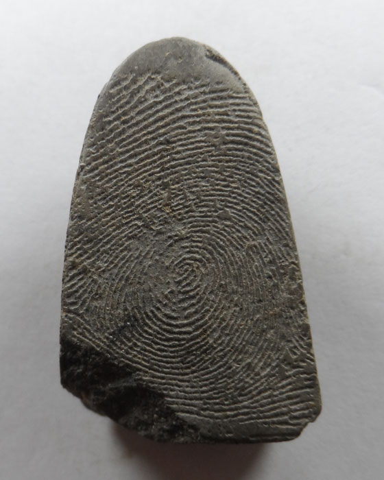 หลวงปู่ทวด (ไม่ทราบที่)